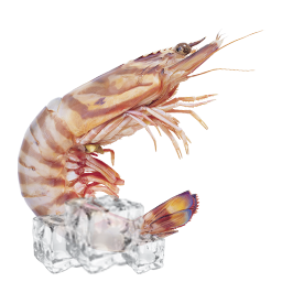 КРЕВЕТКА МОРОЖЕНАЯ