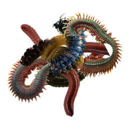 КУСОЧКИ ЧЕРВЯ