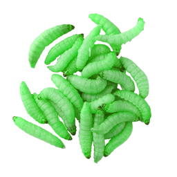 ЛИЧИНКА ЗЕЛЁНАЯ