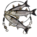 СВЯЗКА ЖИВЦОВ