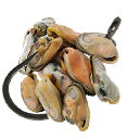 СВЯЗКА ПОТРОХОВ