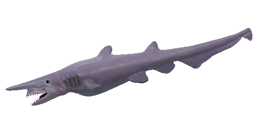 АКУЛА ДОМОВОЙ