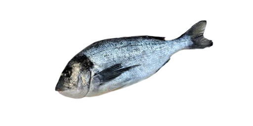 ДОРАДА ЦАРСКАЯ