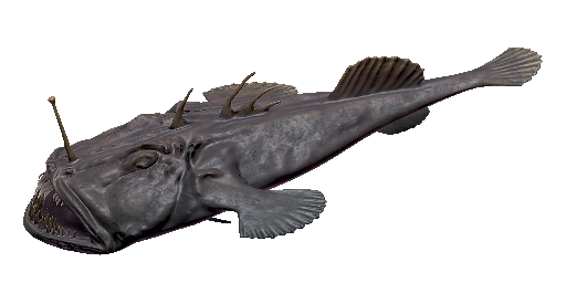 МОРСКОЙ ЧЕРТ