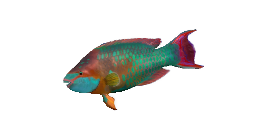 РЫБА ПОПУГАЙ
