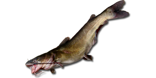 СОМ КАНАЛЬНЫЙ