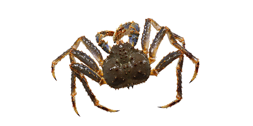 КРАБ КАМЧАТСКИЙ