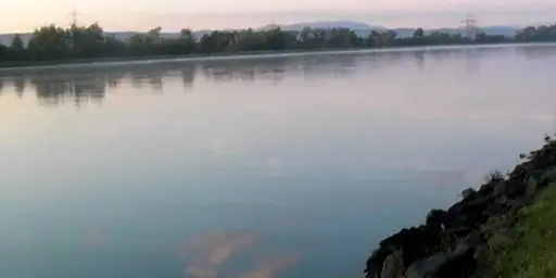 ВАССЕРДАММ