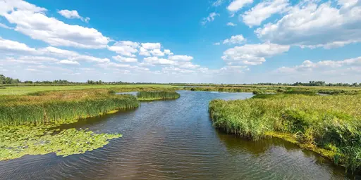 ДЕЛЬТА ДНЕПРА