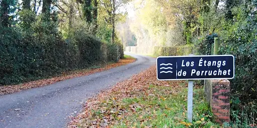 ПРУДЫ ПЕРРУШЕ